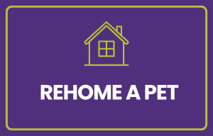 Turning in a Pet
