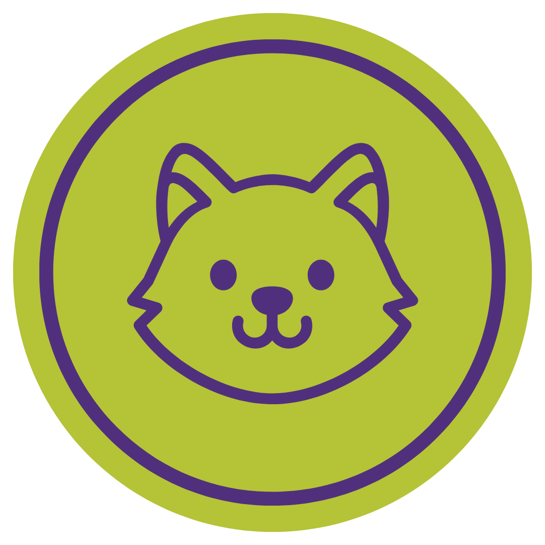 Cat Wellness Services Offered
