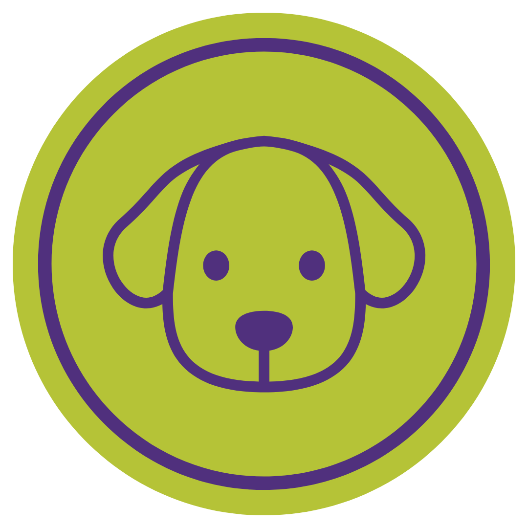Dog Wellness Services Offered