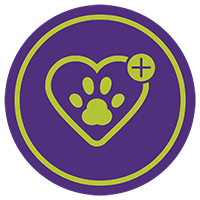 Foster Clinic