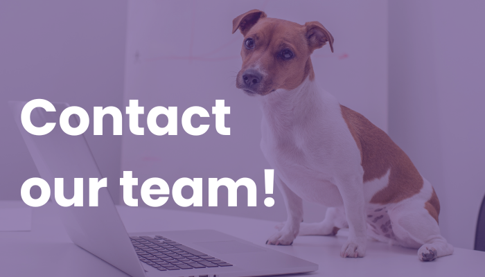 Contact Our Team