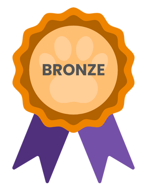 Bronze Sponsor