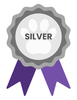 Silver Sponsor