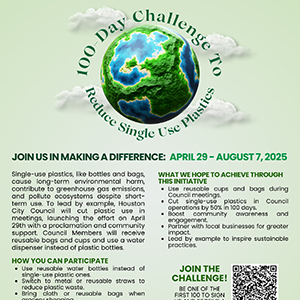 100 Day Challenge Flyer