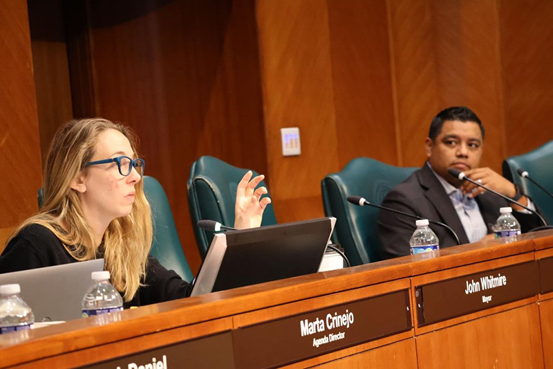 Council Member Kamin Speaking at a Committee Meeting