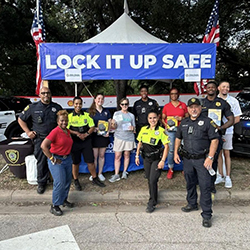 Lock it up Safe