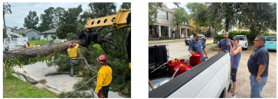 Storm Cleanup Collage