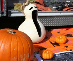 Halloween Items