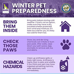 Pet Preparation