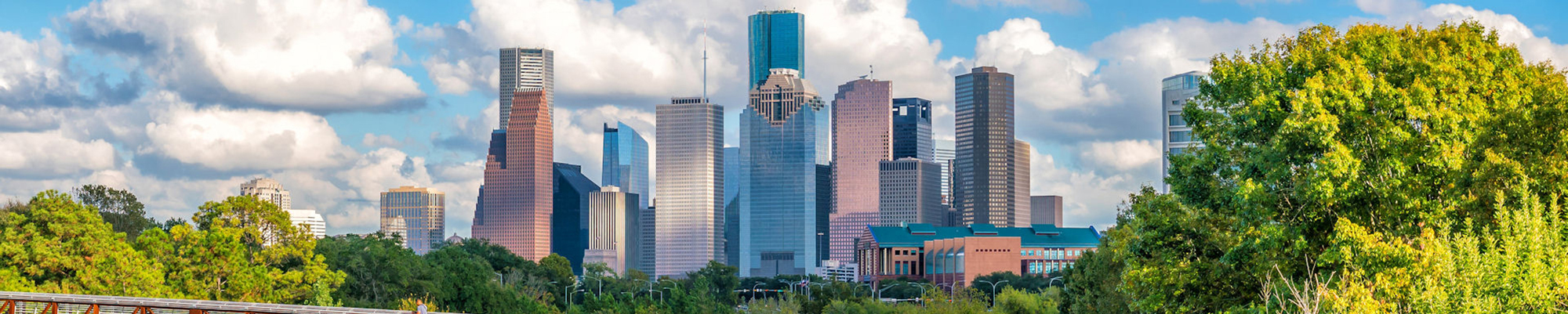 Houston Skyline