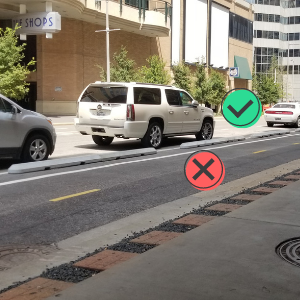 Dedicated Bike Lane on Lamar