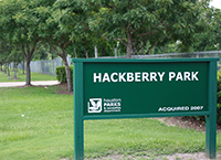 Hackberry