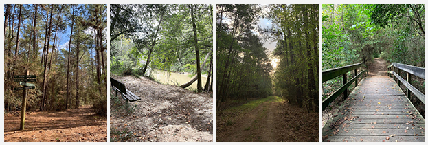 LHWP Trails Collage
