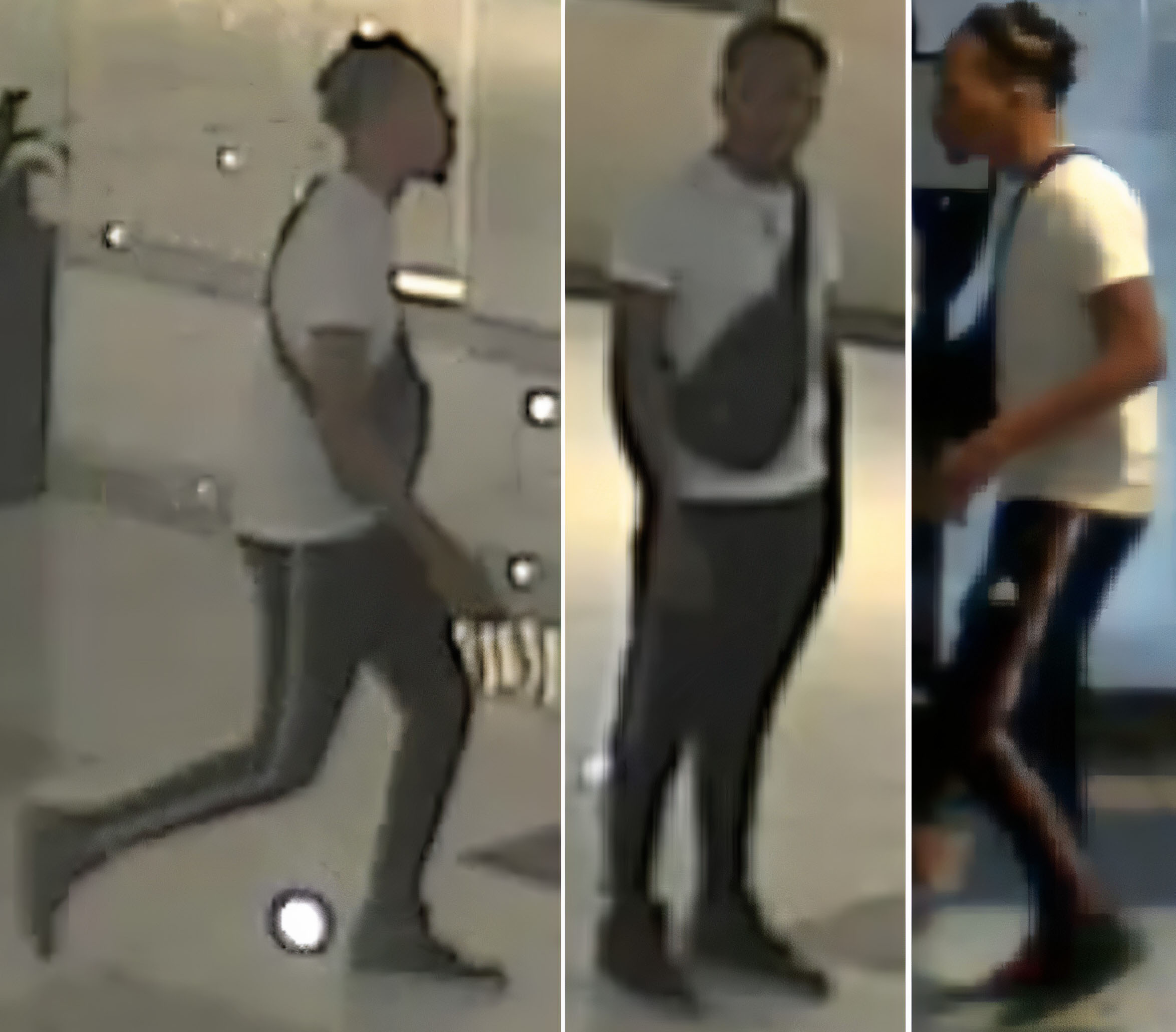 Suspect Surveillance Photos