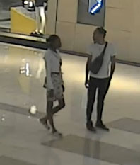 Suspect & Person of Interest Surveillance Photos
