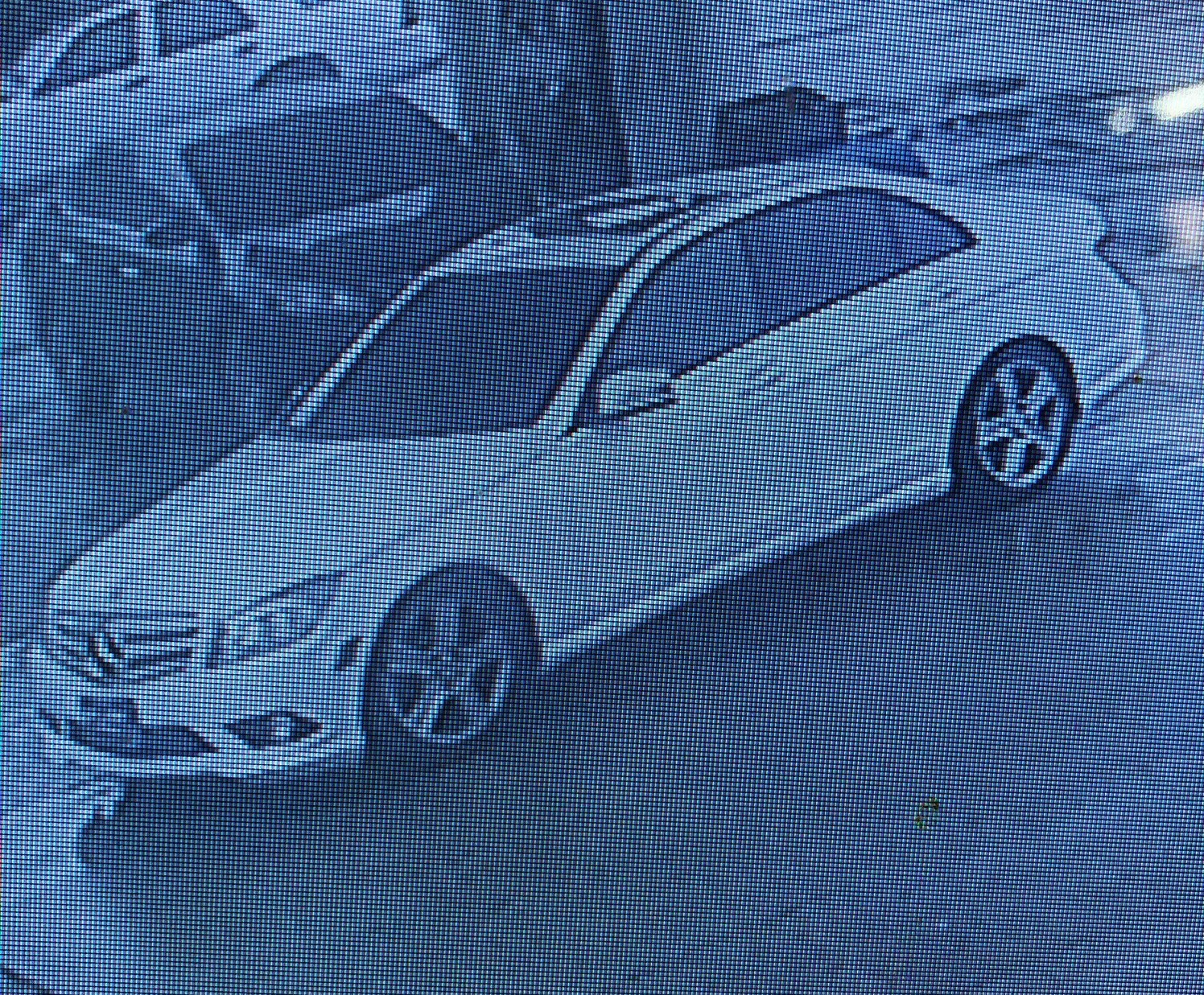 Surveillance photo